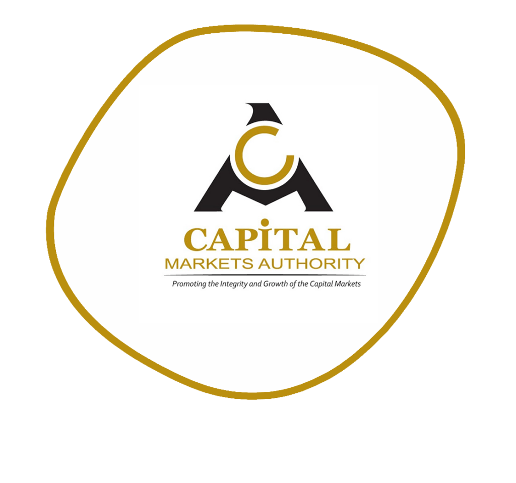 The Capital Market logo