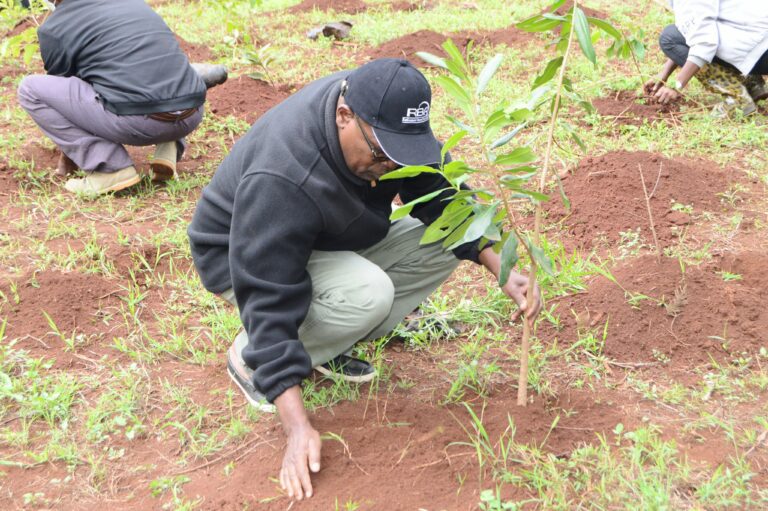 Dr Shem Ouma, Director of Research, Strategy and Planning, leads Retirement Benefits Authority’s employees in planting trees at Ngong Road Forest.