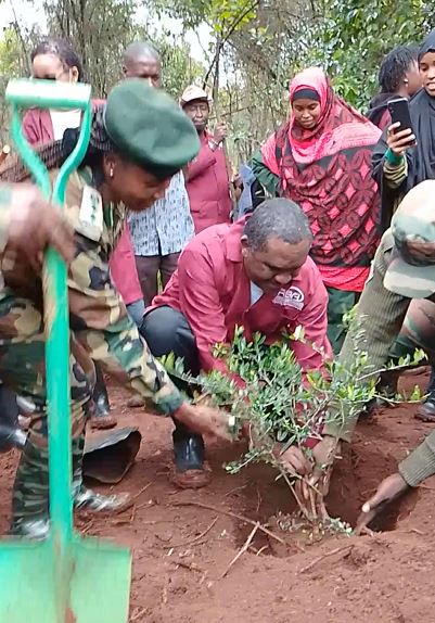 RBA employees planted 1,000 seedlings on one-acre piece of land allocated to the Authority by Kenya Forest Service. RBA has another one-acre in Ngong Road Forest where the Authority has planted 1,200 trees.
